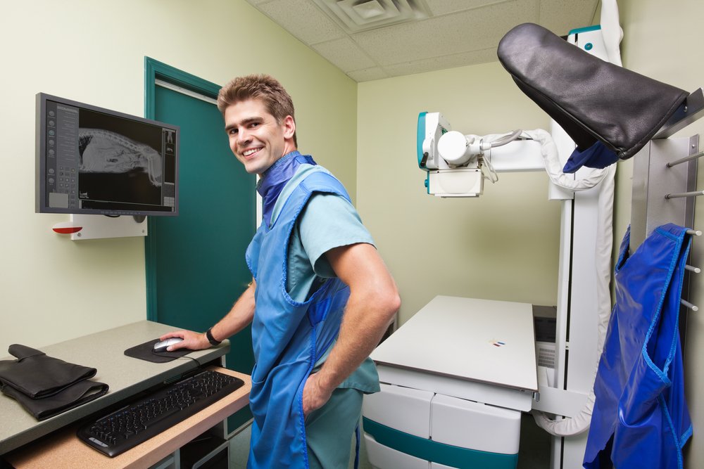 Radiology | Veterinarian in Sherwood, AR | North Hills Animal Hospital